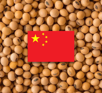 КНР в 1,5 раза сократила объемы импорта американской сои в 2024 году