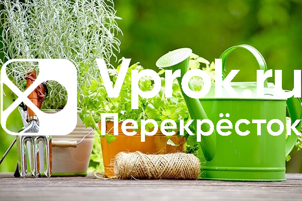 «Vprok.ru Перекресток» выяснил, что заказывают жители Москвы и области на дачу