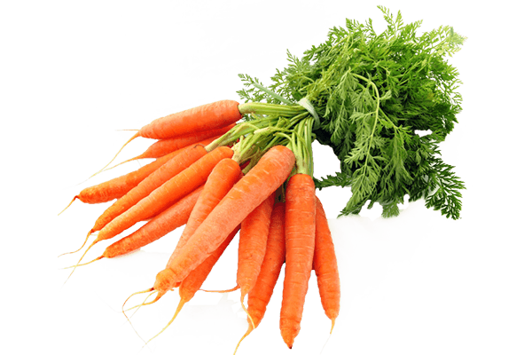 Морковь сублимированная (криопорошок)