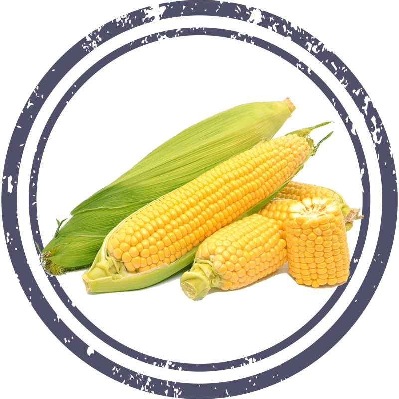 Кукуруза сублимированная
